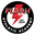 Flash Athletic Academy logo